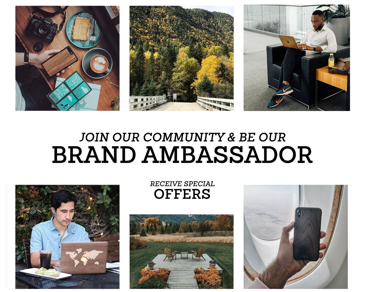 Walnut Leaf – Story of Sun - Macbook Wood Skin